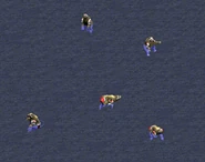 泡在水里的熊熊