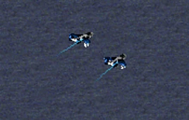 黄蜂无人机展示