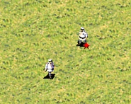 罗曼诺夫与洛曼诺夫总理