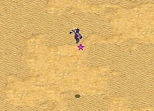 登月心灵部队展示