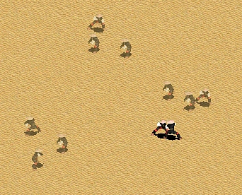 越南游击队展示