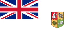 民主阿非利加 large