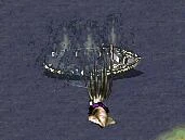 巨型乌贼攻击渔船的常见照片