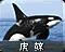 虎鲸 图标