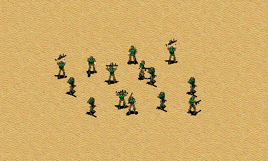 中东特种兵展示